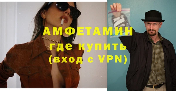 стафф Алзамай