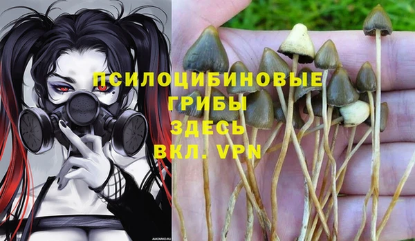 сатива Алексин