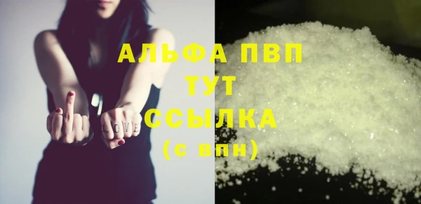 стафф Алзамай