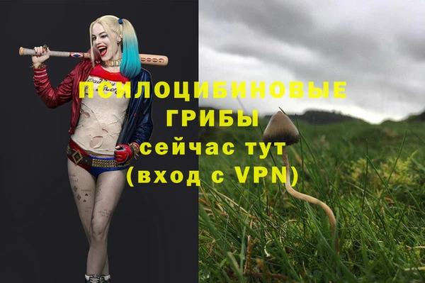 МДМА Абаза